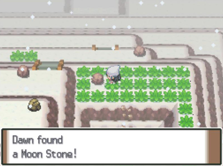 Picking up the hidden Moon Stone on Mt. Coronet / Pokémon Platinum