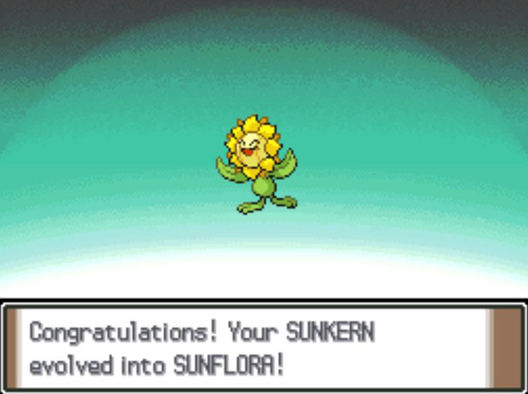 The newly-evolved Sunflora / Pokémon Platinum