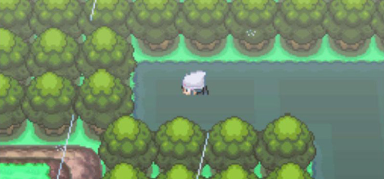 The Dawn Stone on Route 212 in Pokémon Platinum