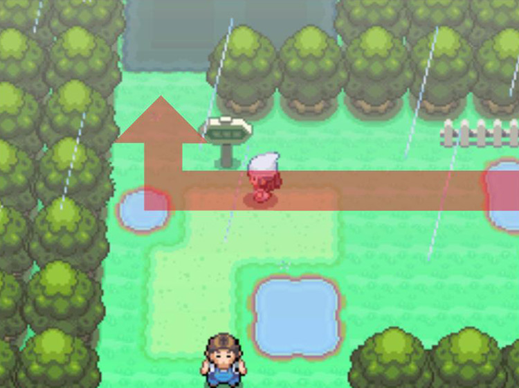 Turning northward into the marsh / Pokémon Platinum