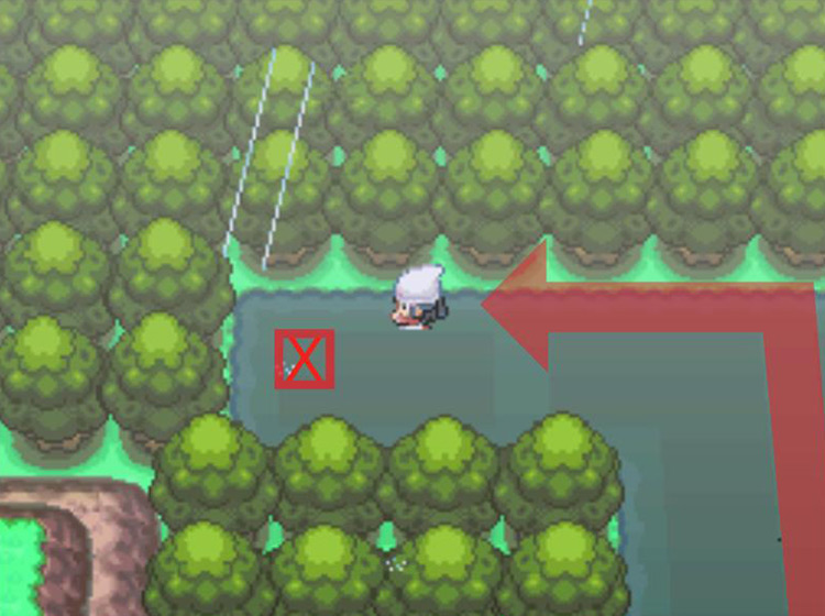 Heading towards the tile containing the hidden Dawn Stone / Pokémon Platinum