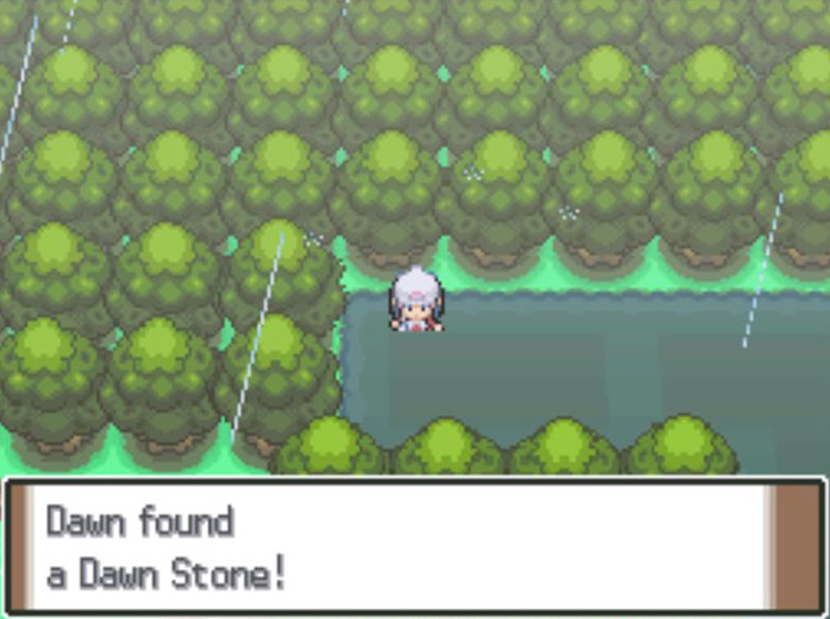 Acquiring the hidden Dawn Stone on Route 212 / Pokémon Platinum