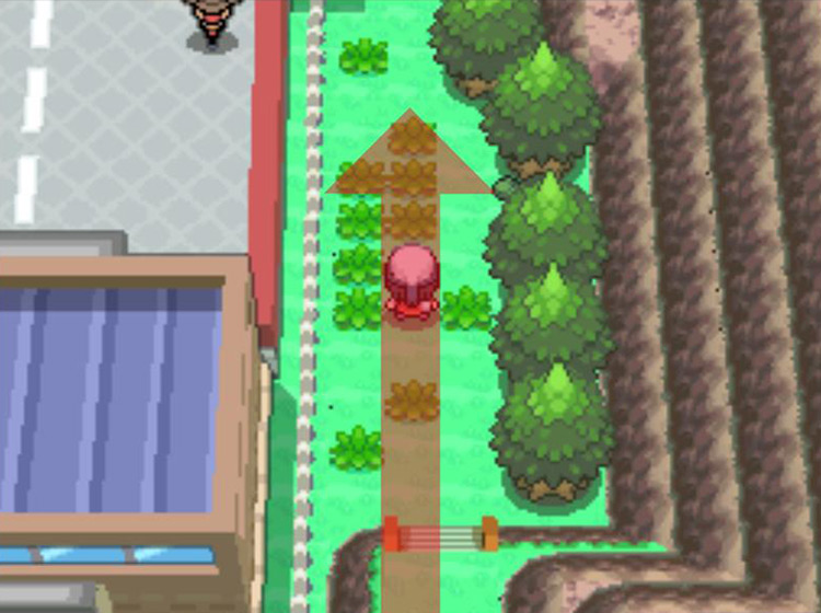 Continuing north past the stairs / Pokémon Platinum