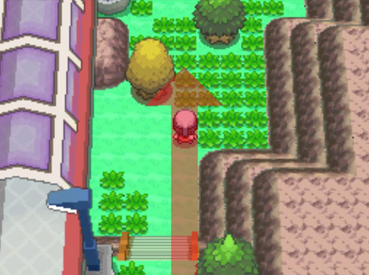 Moving straight north / Pokémon Platinum