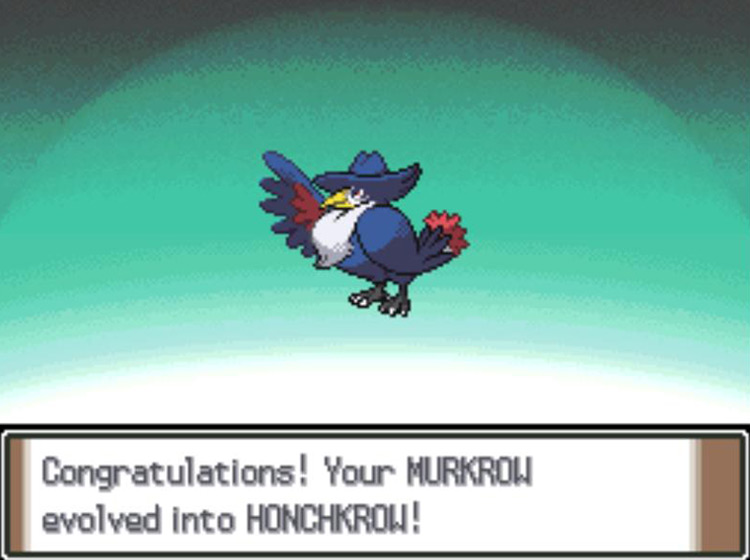 The newly-evolved Honchkrow / Pokémon Platinum