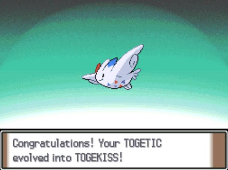 A newly-evolved Togekiss / Pokémon Platinum