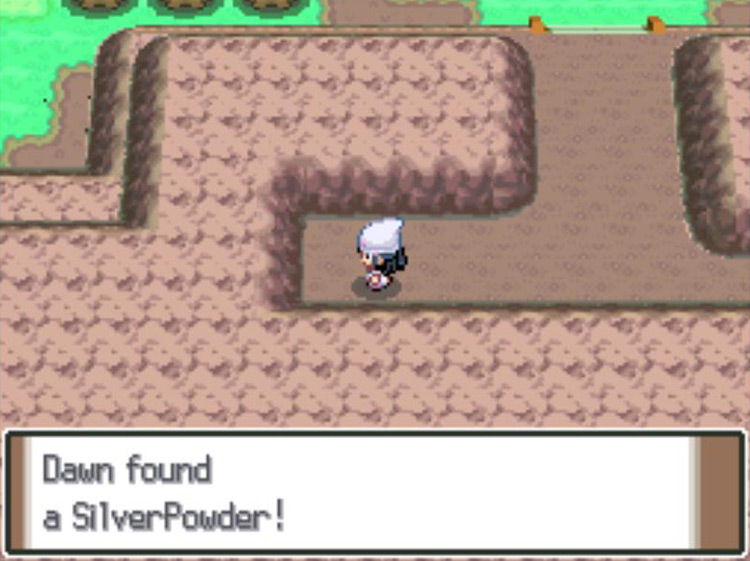 Acquiring the Silver Powder outside Eterna Forest. / Pokémon Platinum