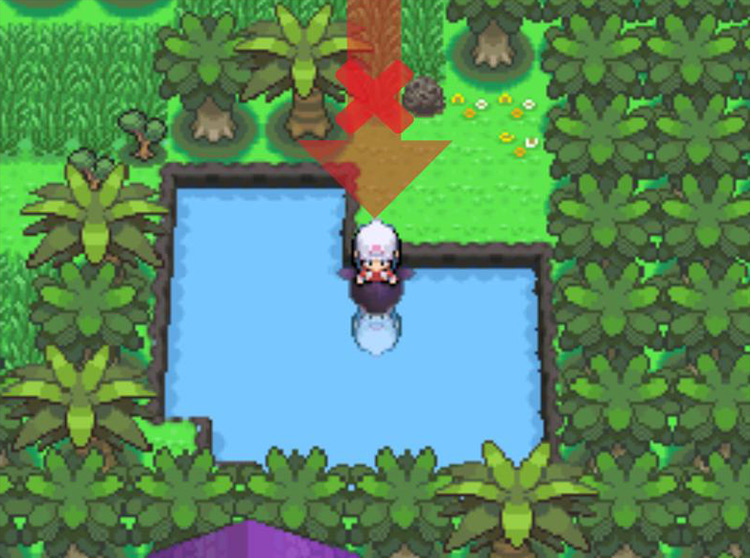 Cutting the tree and Surfing across the pond on the other side. / Pokémon Platinum