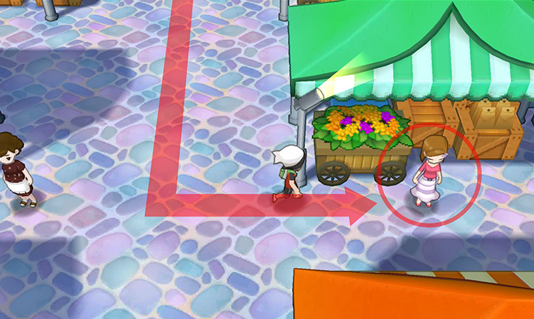 The woman selling the Incenses / Pokémon ORAS