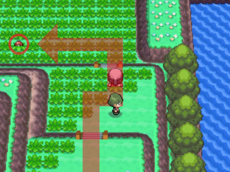 Approaching the Up-Grade near Victory Road’s side entrance. / Pokémon Platinum
