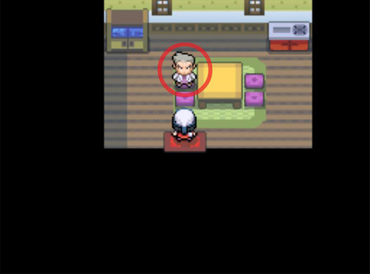 Finding Professor Oak in Eterna City. / Pokémon Platinum