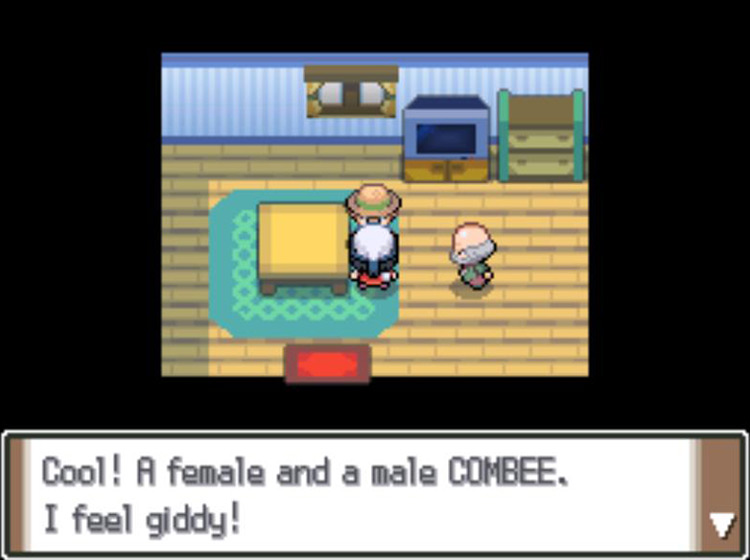 Showing the boy the two Combee / Pokémon Platinum
