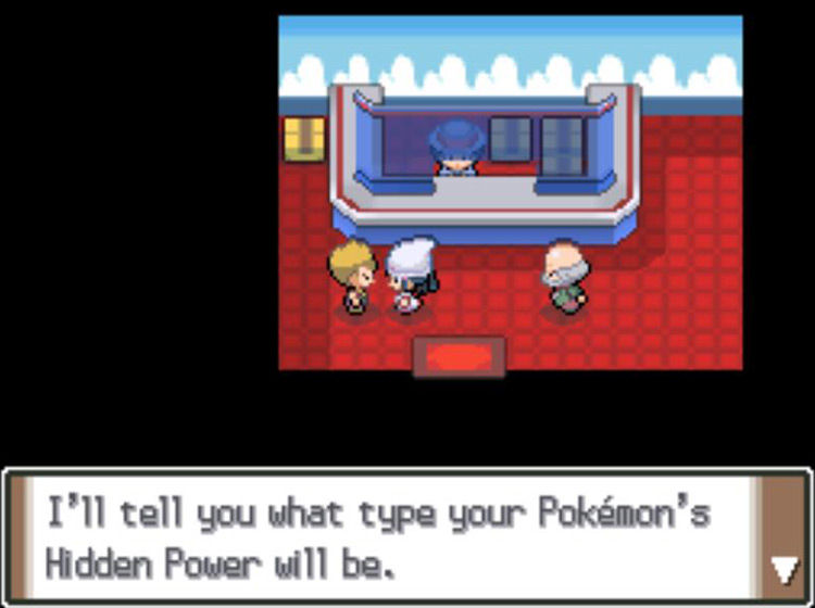 The Hidden Power checker offering to examine a Pokémon / Pokémon Platinum