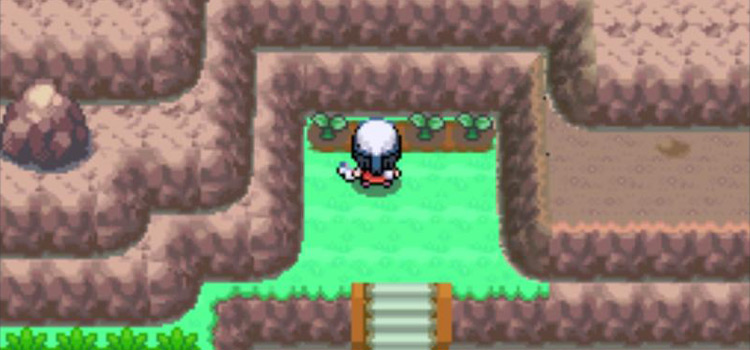 Watering berry sprouts with the Sprayduck (Pokémon Platinum)