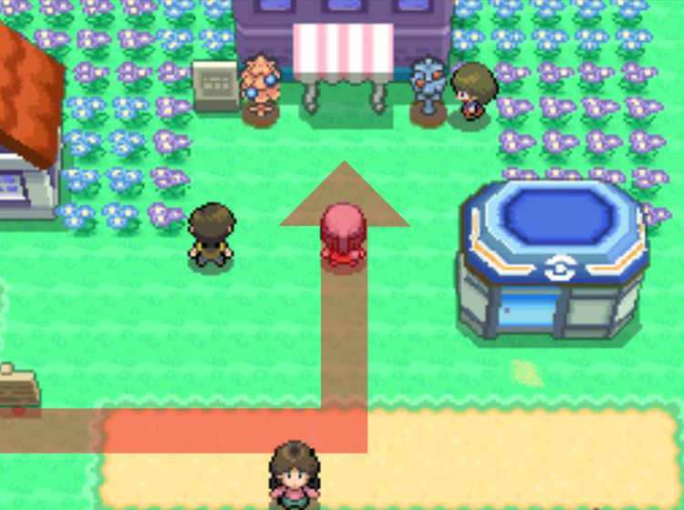 Entering the flower shop to the north / Pokémon Platinum