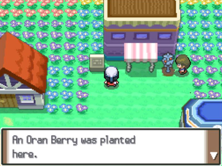 Being reminded of which Berry is planted in a plot’s soil / Pokémon Platinum