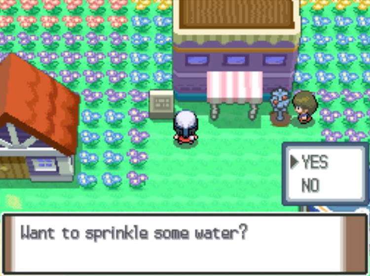 Choosing to water a Berry plot’s soil / Pokémon Platinum