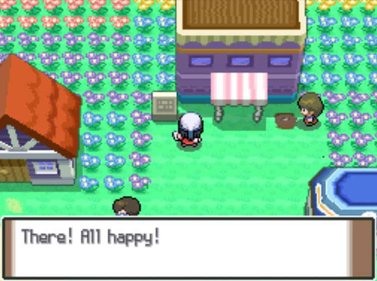 Completing the watering of a Berry plot / Pokémon Platinum