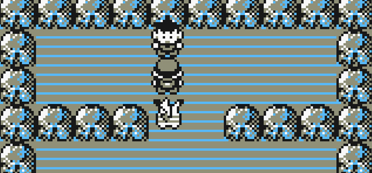 Standing in the Pewter City Gym near Brock (Pokémon Yellow)