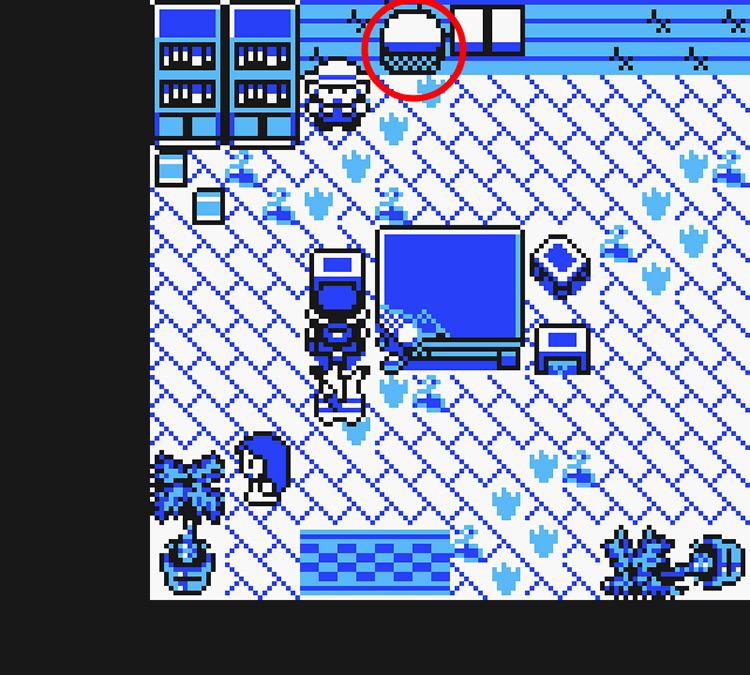 Standing in the robbed house in Cerulean City / Pokémon Yellow