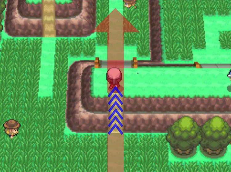 Heading over a hill on Route 210 / Pokémon Platinum