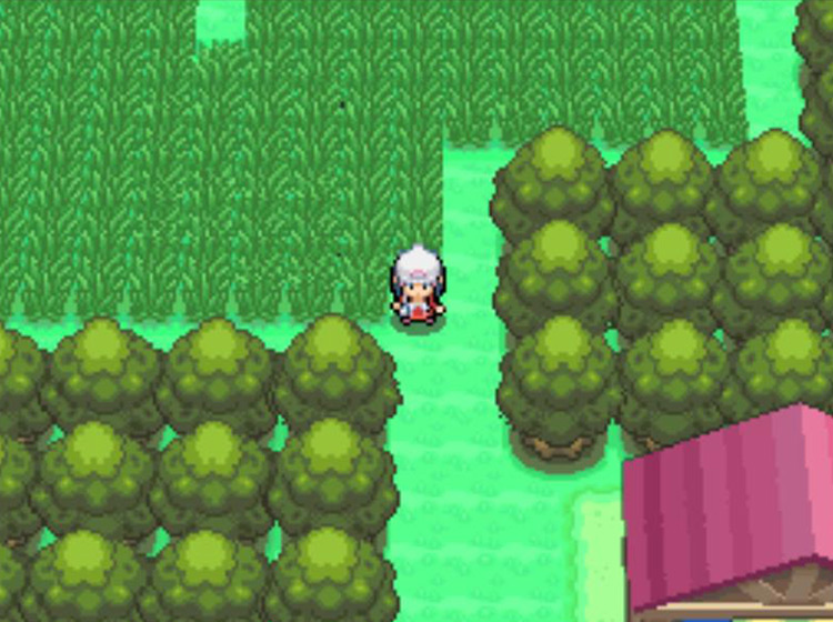 Standing in the now-unblocked path to Celestic Town / Pokémon Platinum