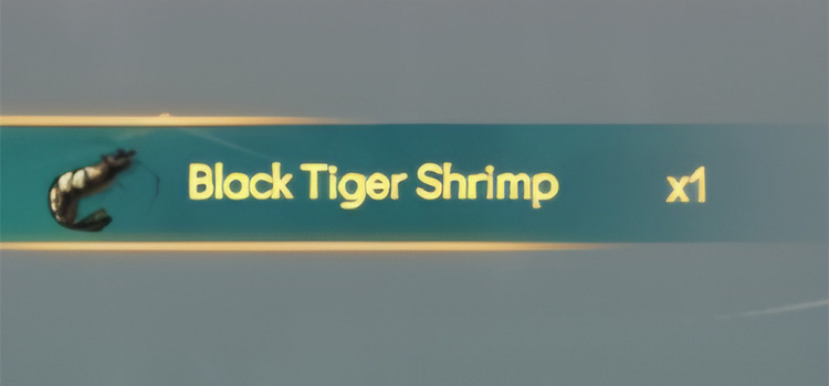 Black Tiger Shrimp catch in Spiritfarer