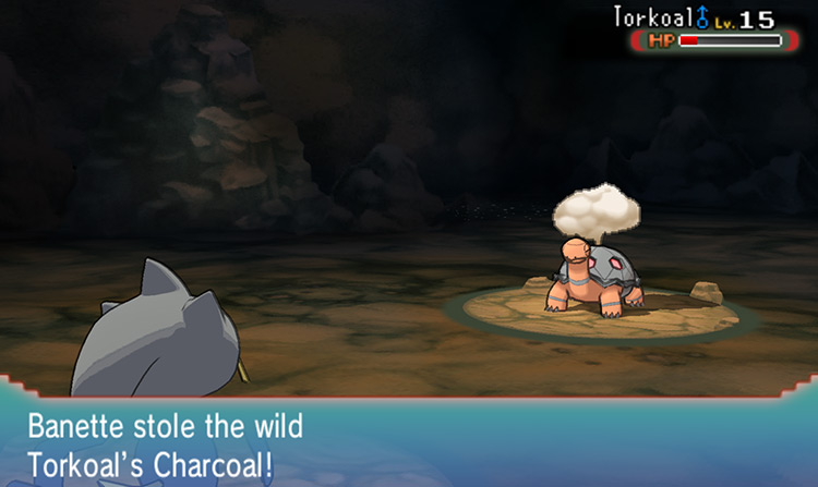 Stealing the wild Torkoal’s held Charcoal / Pokémon ORAS