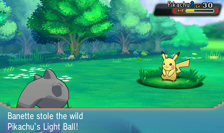 Stealing the Light Ball from a wild Pikachu / Pokémon ORAS