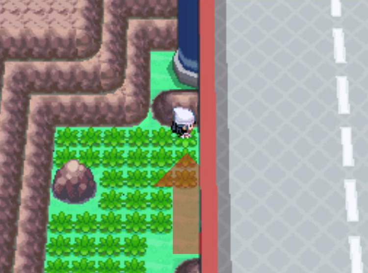 Standing one tile to the left of the overpass. / Pokémon Platinum