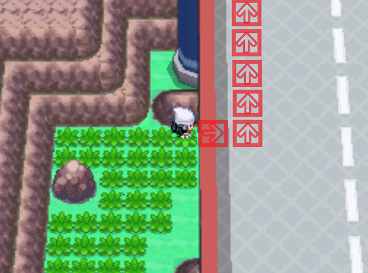 Taking two steps east and five north underneath Cycling Road. / Pokémon Platinum