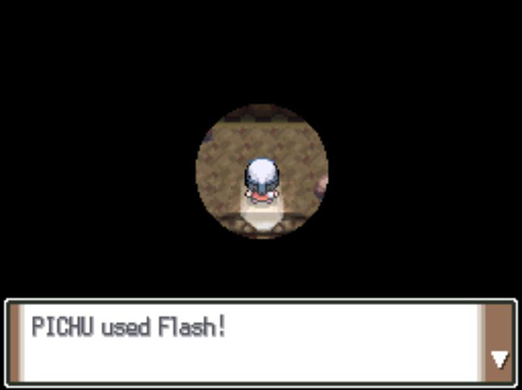 Using Flash to light up the cave. / Pokémon Platinum