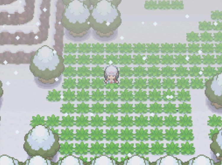 Hunting for Sneasel at the Acuity Lakefront. / Pokémon Platinum