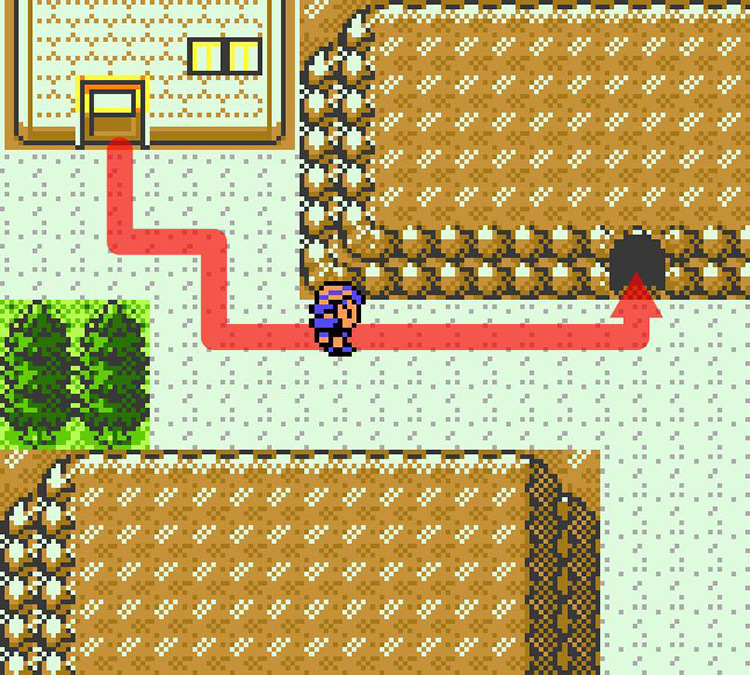 Path from the northern entrance to the Ruins of Alph to the Top Right Chamber. / Pokémon Crystal