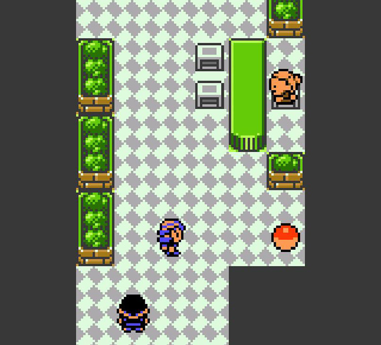 Facing the Coin Case in the Goldenrod Underground. / Pokémon Crystal