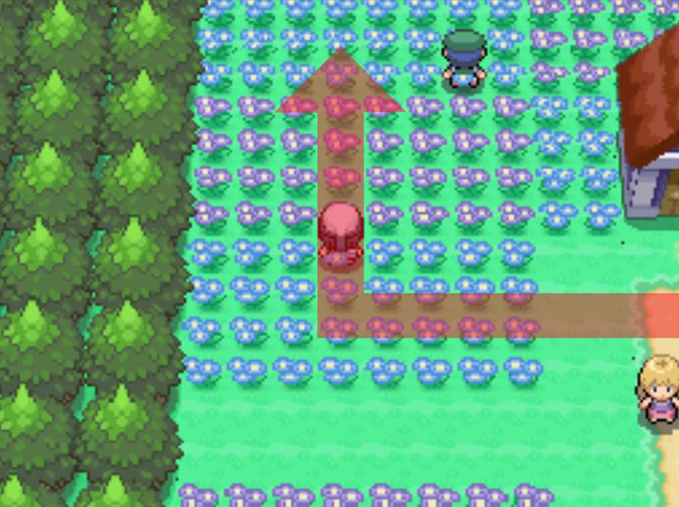 Turning north at the western edge of town / Pokémon Platinum