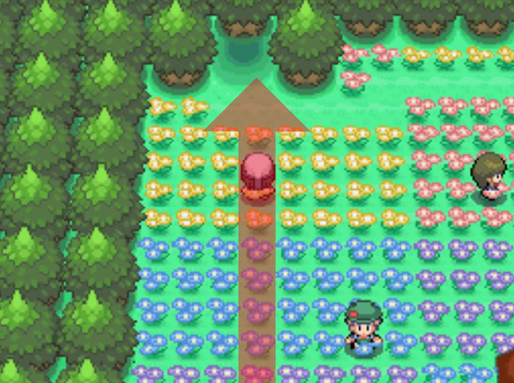 Entering the Floaroma Meadow to the north / Pokémon Platinum