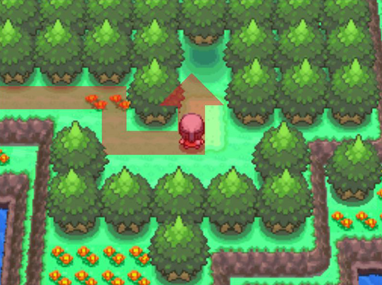 Heading into the woods / Pokémon Platinum