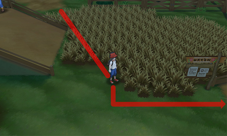 Exiting the grass patch and heading east, past the Trainer Tips board. / Pokémon Ultra Sun and Ultra Moon