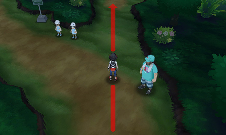 Taking the path to the right on Route 5. / Pokémon Ultra Sun and Ultra Moon