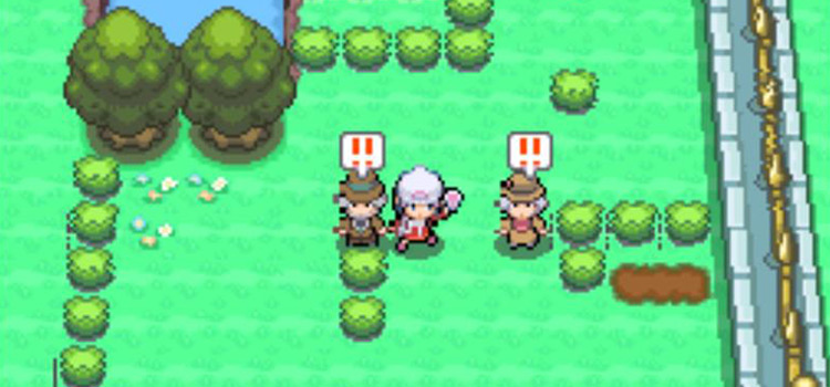 Challenging Vs. Seeker trainers on Route 212
