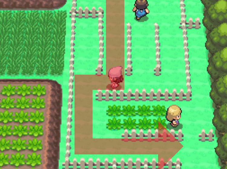 Heading south past the picket fence maze’s trainers. / Pokémon Platinum