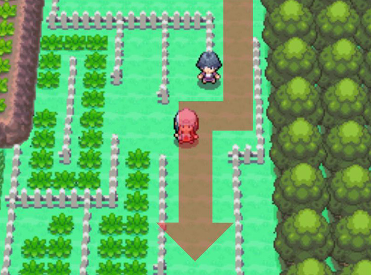 Moving south past Psychic Mitchell. / Pokémon Platinum