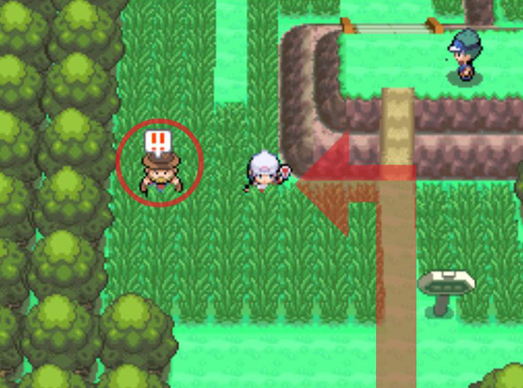 Challenging Rancher Marco to a rematch with the Vs. Seeker. / Pokémon Platinum