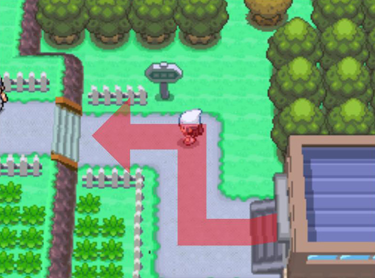 Heading upstairs on Route 222. / Pokémon Platinum