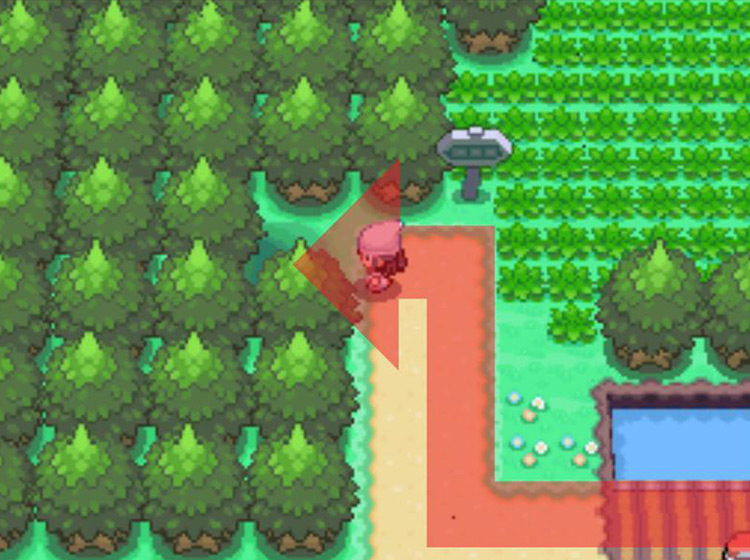 Taking the northern trail to the Forest’s entrance / Pokémon Platinum