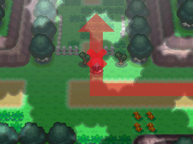 Using Cut to head past the northern fence / Pokémon Platinum