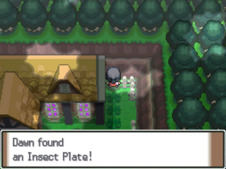 Obtaining the hidden Insect Plate in Eterna Forest / Pokémon Platinum