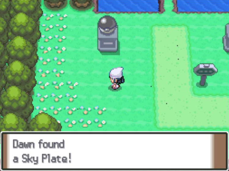 Obtaining the hidden Sky Plate / Pokémon Platinum