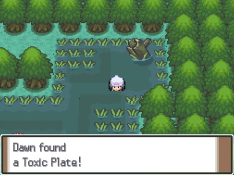 Obtaining the hidden Toxic Plate in the Great Marsh / Pokémon Platinum